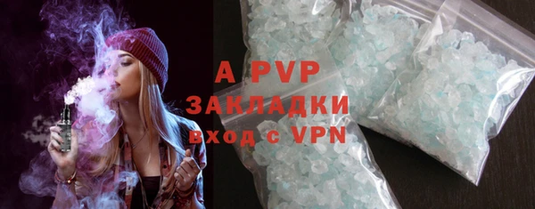 сатива Абинск