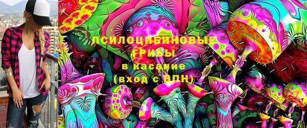 амф Алзамай